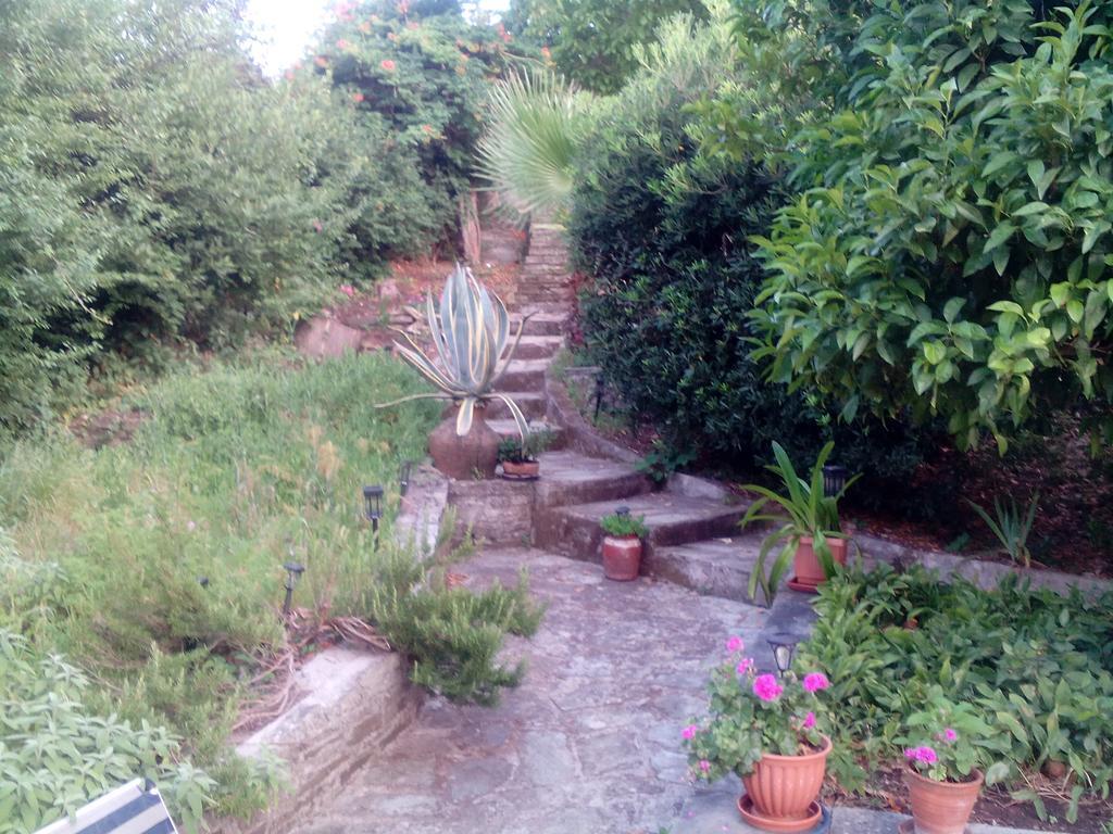 Nightingale Cottage Pelion Καλαμάκι Εξωτερικό φωτογραφία