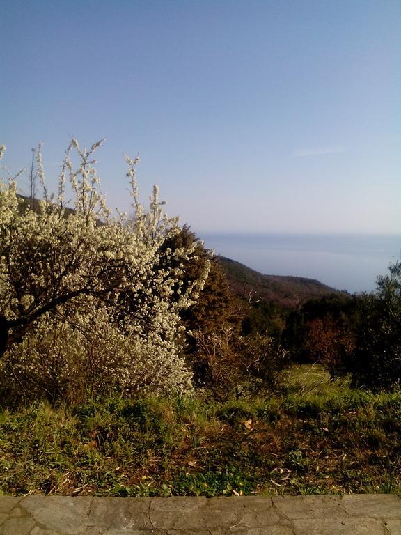 Nightingale Cottage Pelion Καλαμάκι Εξωτερικό φωτογραφία