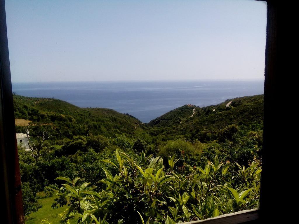 Nightingale Cottage Pelion Καλαμάκι Εξωτερικό φωτογραφία