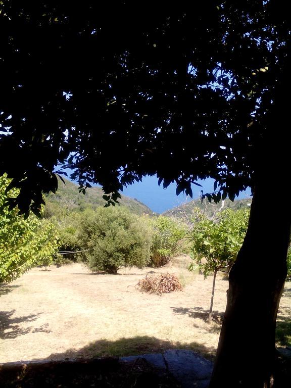 Nightingale Cottage Pelion Καλαμάκι Εξωτερικό φωτογραφία